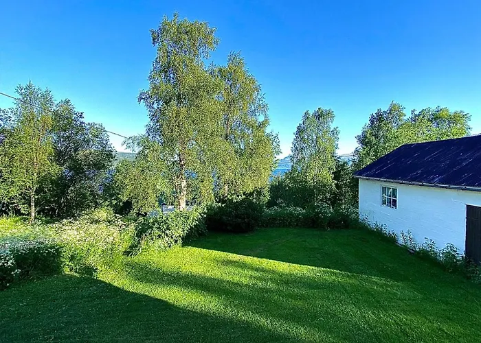 Charming House Near Centre & Senja!